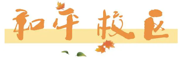 篮球教练如何制定总决赛的长期发展计划_0
